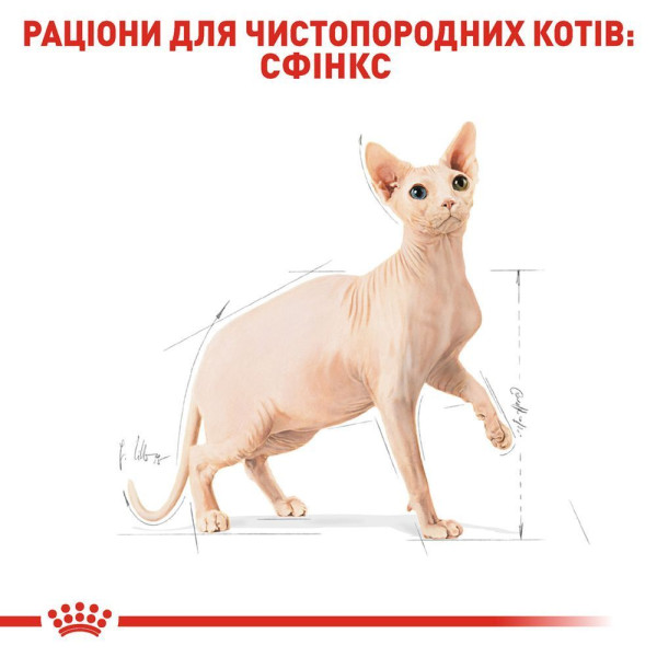 Сухий корм для котів породи сфінкс Royal Canin Sphynx Adult 10 кг Royal Canin – купити зі знижкою %