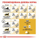 Сухий корм для котів породи сфінкс Royal Canin Sphynx Adult 10 кг Royal Canin – купити зі знижкою %