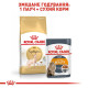 Сухий корм для котів породи сфінкс Royal Canin Sphynx Adult 10 кг Royal Canin – купити зі знижкою %
