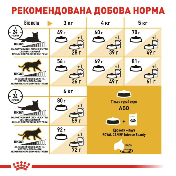 Сухий корм для котів породи сфінкс Royal Canin Sphynx Adult 10 кг Royal Canin – купити зі знижкою %