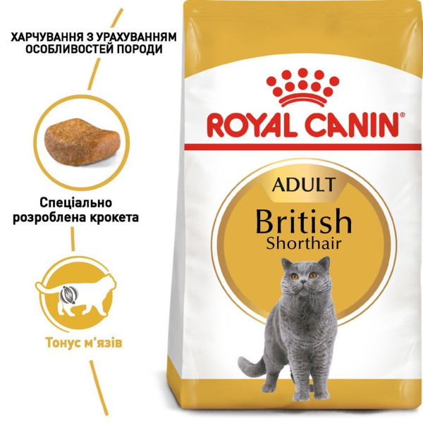 Сухий корм для котів породи британська короткошерста Royal Canin British Shorthair Adult 10 кг Royal Canin – купити зі знижкою %