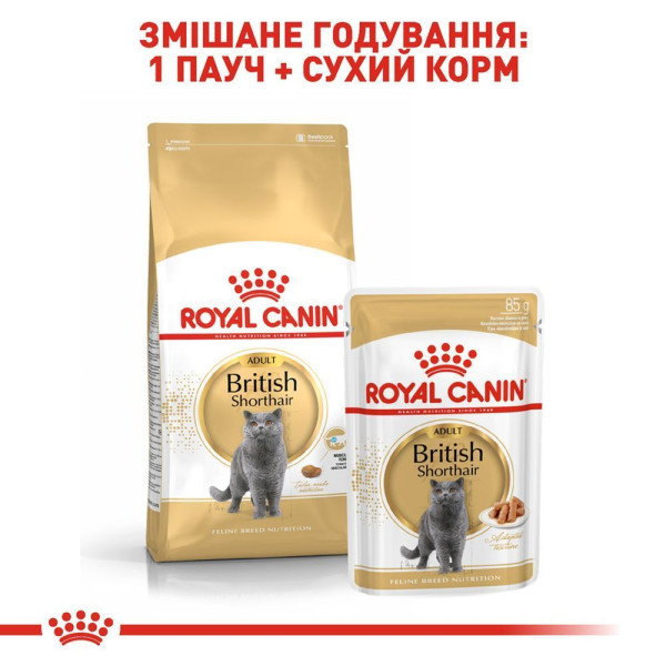 Сухий корм для котів породи британська короткошерста Royal Canin British Shorthair Adult 10 кг Royal Canin – купити зі знижкою %
