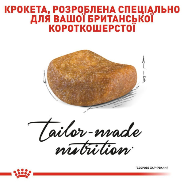 Сухий корм для котів породи британська короткошерста Royal Canin British Shorthair Adult 10 кг Royal Canin – купити зі знижкою %