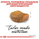 Сухий корм для котів породи британська короткошерста Royal Canin British Shorthair Adult 10 кг Royal Canin – купити зі знижкою %