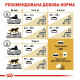Сухий корм для котів породи британська короткошерста Royal Canin British Shorthair Adult 10 кг Royal Canin – купити зі знижкою %