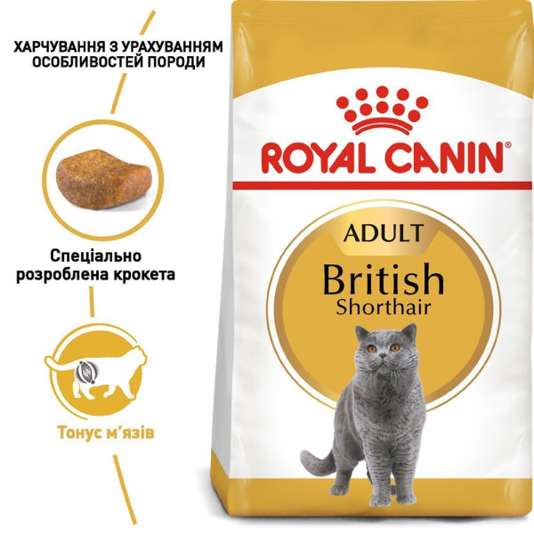 Сухий корм для котів породи британська короткошерста Royal Canin British Shorthair Adult 10 кг Royal Canin – купити зі знижкою %