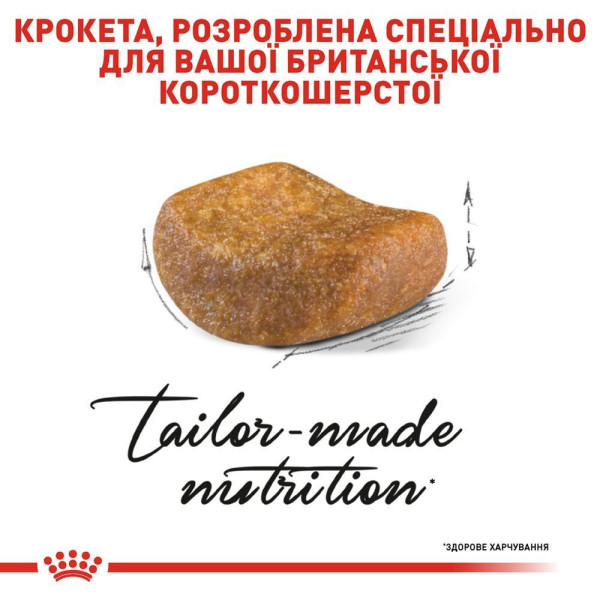 Сухий корм для котів породи британська короткошерста Royal Canin British Shorthair Adult 10 кг Royal Canin – купити зі знижкою %