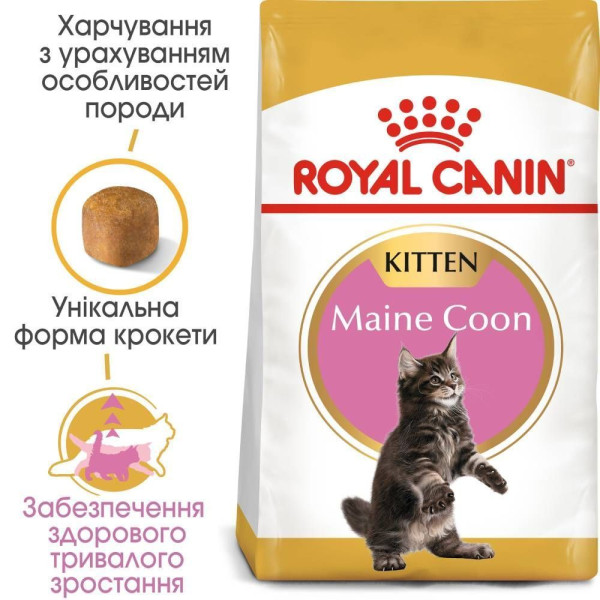 Сухий корм для кошенят породи мейн-кун Royal Canin Kitten Maine Coon 2 кг Royal Canin – купити зі знижкою %