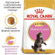 Сухий корм для кошенят породи мейн-кун Royal Canin Kitten Maine Coon 2 кг Royal Canin – купити зі знижкою %