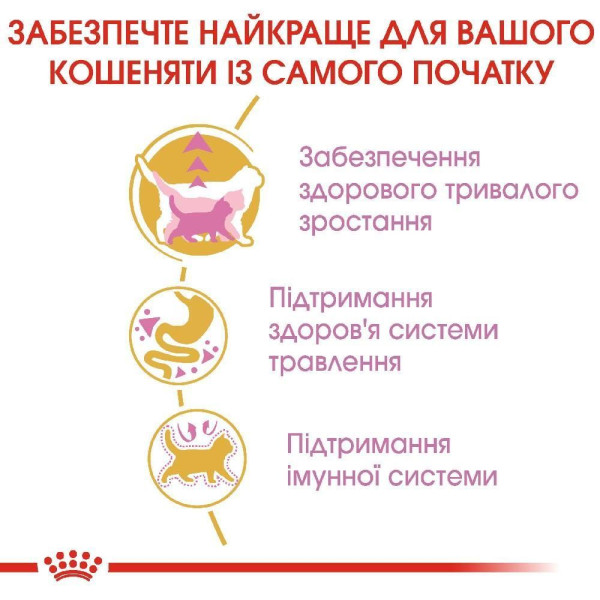 Сухий корм для кошенят породи мейн-кун Royal Canin Kitten Maine Coon 2 кг Royal Canin – купити зі знижкою %