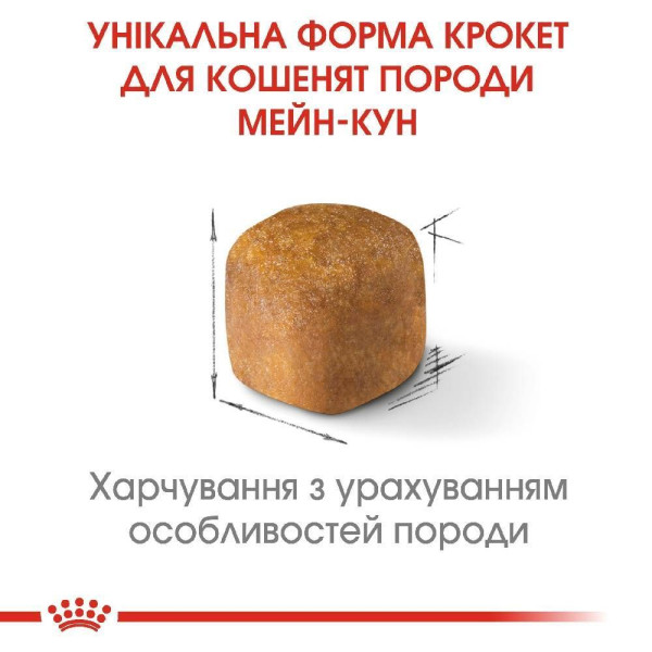 Сухий корм для кошенят породи мейн-кун Royal Canin Kitten Maine Coon 2 кг Royal Canin – купити зі знижкою %