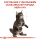 Сухий корм для кошенят породи мейн-кун Royal Canin Kitten Maine Coon 2 кг Royal Canin – купити зі знижкою %