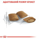 Сухий корм для котів Royal Canin Ageing 12+, 2 кг Royal Canin – купити зі знижкою %
