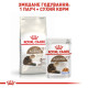 Сухий корм для котів Royal Canin Ageing 12+, 2 кг Royal Canin – купити зі знижкою %