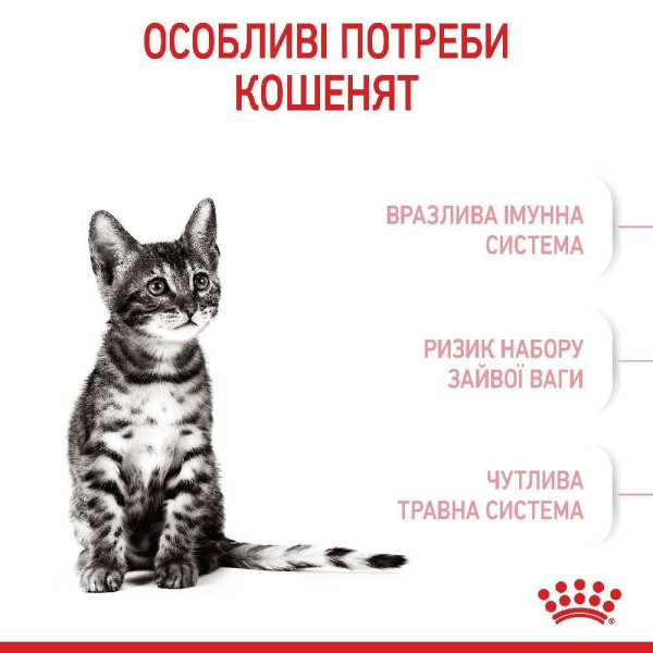 Сухий корм для кошенят Royal Canin Kitten Sterilised 2 кг Royal Canin – купити зі знижкою %