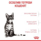 Сухий корм для кошенят Royal Canin Kitten Sterilised 2 кг Royal Canin – купити зі знижкою %