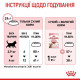 Сухий корм для кошенят Royal Canin Kitten Sterilised 2 кг Royal Canin – купити зі знижкою %