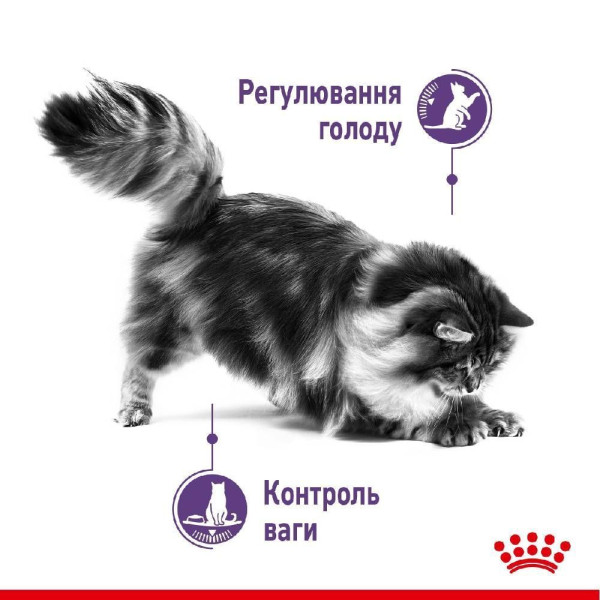 Сухий корм для котів Royal Canin Sterilised Appetite Control 2 кг Royal Canin – купити зі знижкою %