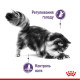 Сухий корм для котів Royal Canin Sterilised Appetite Control 2 кг Royal Canin – купити зі знижкою %