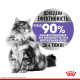 Сухий корм для котів Royal Canin Sterilised Appetite Control 2 кг Royal Canin – купити зі знижкою %