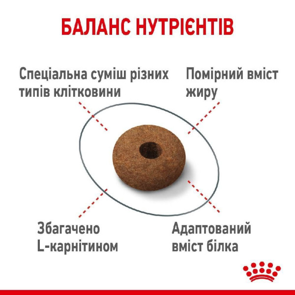 Сухий корм для котів Royal Canin Sterilised Appetite Control 2 кг Royal Canin – купити зі знижкою %