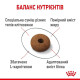 Сухий корм для котів Royal Canin Sterilised Appetite Control 2 кг Royal Canin – купити зі знижкою %