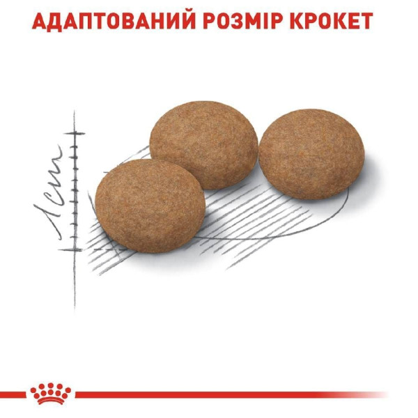 Сухий корм для котів Royal Canin Sterilised Ageing 12+, 2 кг Royal Canin – купити зі знижкою %