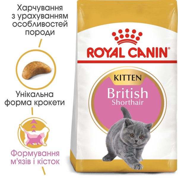 Сухий корм для кошенят Royal Canin Kitten British Shorthair 2 кг Royal Canin – купити зі знижкою %