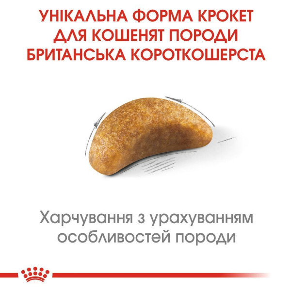 Сухий корм для кошенят Royal Canin Kitten British Shorthair 2 кг Royal Canin – купити зі знижкою %