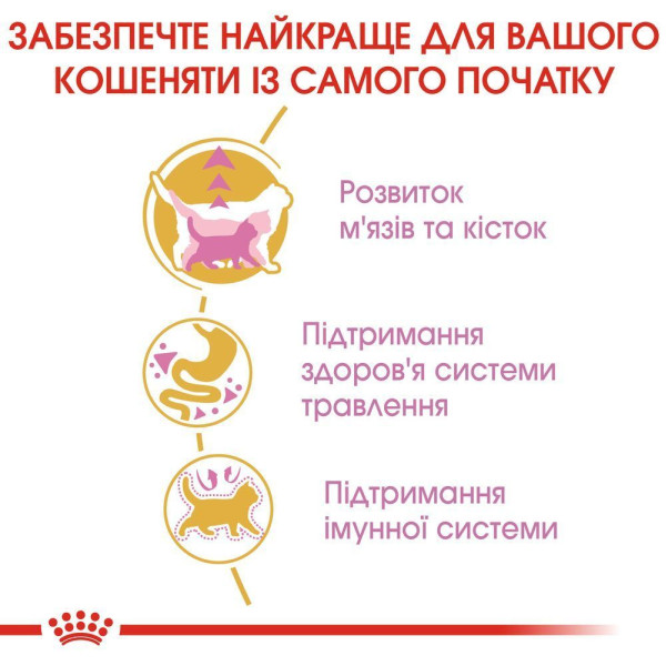 Сухий корм для кошенят Royal Canin Kitten British Shorthair 2 кг Royal Canin – купити зі знижкою %