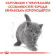Сухий корм для кошенят Royal Canin Kitten British Shorthair 2 кг Royal Canin – купити зі знижкою %