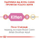 Сухий корм для кошенят Royal Canin Kitten British Shorthair 2 кг Royal Canin – купити зі знижкою %