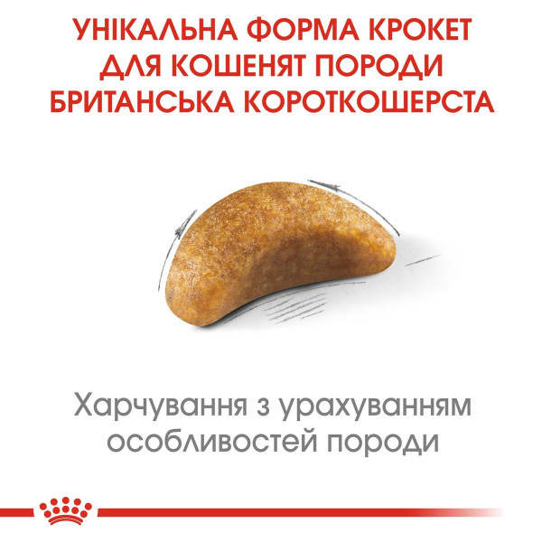 Сухий корм для кошенят Royal Canin Kitten British Shorthair 2 кг Royal Canin – купити зі знижкою %