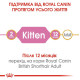 Сухий корм для кошенят Royal Canin Kitten British Shorthair 2 кг Royal Canin – купити зі знижкою %