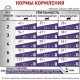 Сухий корм для котів Royal Canin Mature Consult 1,5 кг Royal Canin – купити зі знижкою %