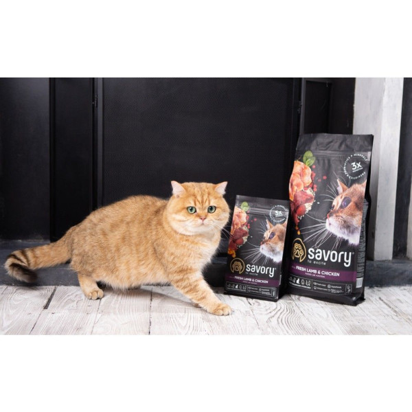 Savory Steril Fresh Adult сухий корм для котів 8 кг - ягня та курка Savory – купити зі знижкою %