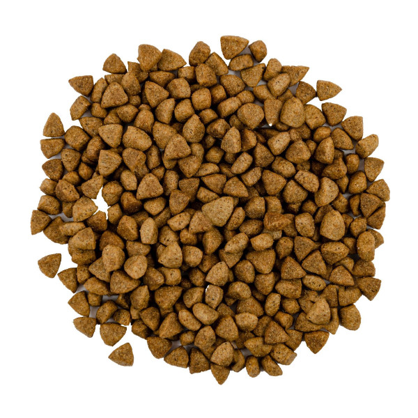 Savory Steril Fresh Adult сухий корм для котів 8 кг - ягня та курка Savory – купити зі знижкою %