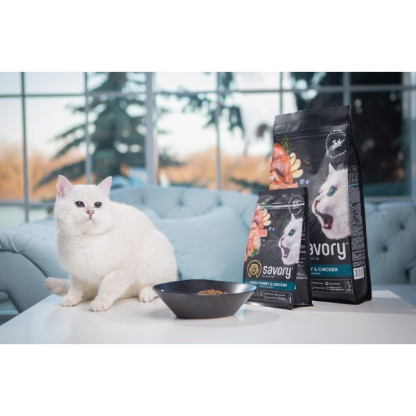 Savory Kitten сухий корм для кошенят 2 кг - індичка та курка Savory – купити зі знижкою %