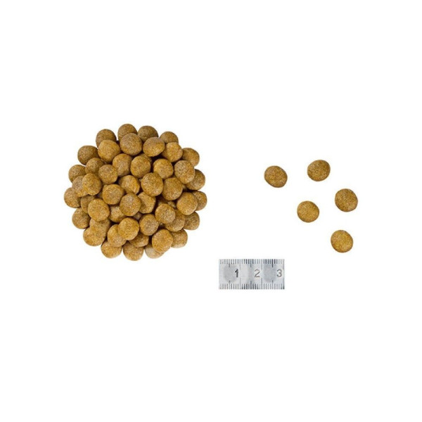 Сухий корм для котів Royal Canin Renal 400 г Royal Canin – купити зі знижкою %