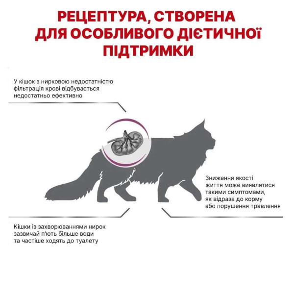 Сухий корм для котів Royal Canin Renal 400 г Royal Canin – купити зі знижкою %