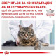Сухий корм для котів Royal Canin Renal 400 г Royal Canin – купити зі знижкою %