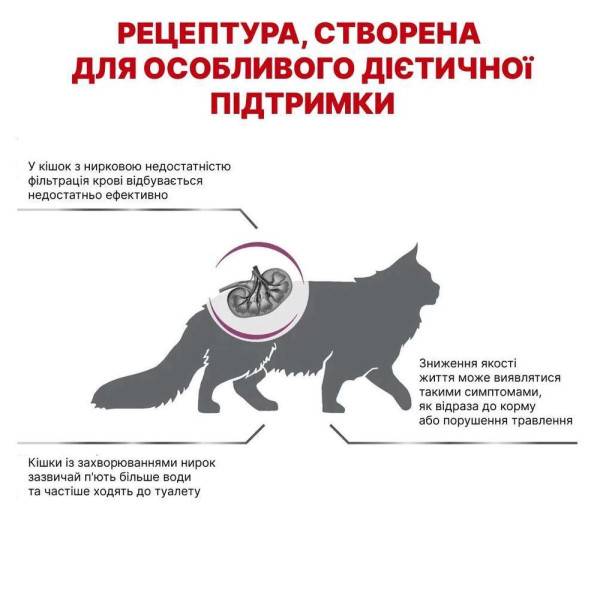 Сухий корм для котів Royal Canin Renal 400 г Royal Canin – купити зі знижкою %
