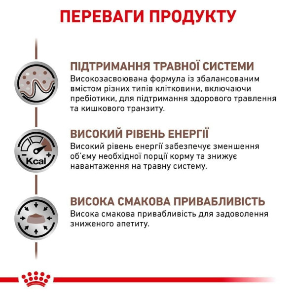 Сухий корм для котів Royal Canin Gastro Intestinal 4 кг Royal Canin – купити зі знижкою %