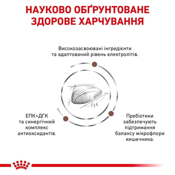 Сухий корм для котів Royal Canin Gastro Intestinal 4 кг Royal Canin – купити зі знижкою %