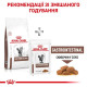 Сухий корм для котів Royal Canin Gastro Intestinal 4 кг Royal Canin – купити зі знижкою %