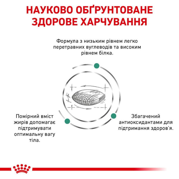 Сухий корм для котів Royal Canin Diabetic 1.5 кг Royal Canin – купити зі знижкою %