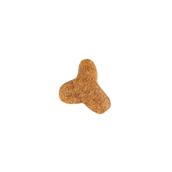 Сухий корм для котів Royal Canin Fibre Response 2 кг Royal Canin – купити зі знижкою %