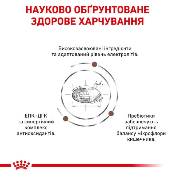 Сухий корм для котів Royal Canin Gastro Intestinal Moderate Calorie 2 кг Royal Canin – купити зі знижкою %