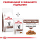Сухий корм для котів Royal Canin Gastro Intestinal Moderate Calorie 2 кг Royal Canin – купити зі знижкою %
