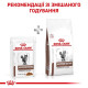Royal Canin Gastrointestinal Moderate Calorie влажный корм для кошек 85 г (1 уп 12 шт) Royal Canin – купить со скидкой